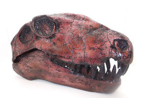 Dimetrodon skeleton cast replica 3