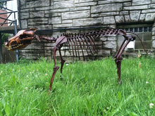 Load image into Gallery viewer, Dire Wolf Skeleton cast replica cast replica reproduction Fossils