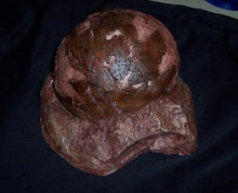 Cargar imagen en el visor de la galería, Sauropod Egg V Egg Cast Replica Dinosaur Reproductions