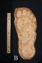 Load image into Gallery viewer, 1982 Grays Harbor Hereford Bigfoot print cast &quot;B&quot;