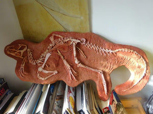 Heterodontosaurus skeleton cast replica
