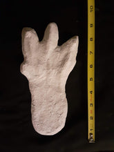 Load image into Gallery viewer, 1974 Honey Island Swamp Monster Track Cast Replica footprint impression Cryptozoology Cryptid