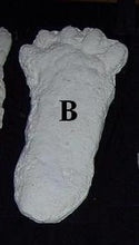 Charger l&#39;image dans la galerie, 1963 Hyampom Bigfoot (Sasquatch) footprint cast &quot;B&quot;