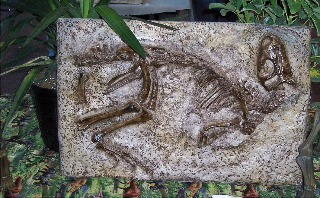 Nanosaurus / Hypsolophodon skeleton cast replica