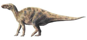 Iguanodon dinosaur track cast replica #2