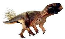 画像をギャラリービューアに読み込む, Psittacosaur Dinosaur Replica Dinosaur skeleton panel cast in matrix