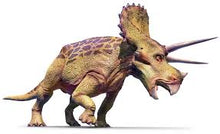 Laden Sie das Bild in den Galerie-Viewer, Triceratops Nose Horn 15&quot; Cast replica #2***