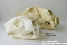 Cargar imagen en el visor de la galería, Liliger Skull Cast Replica Reproduction