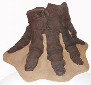 Mastodon foot cast replica Pleistocene. Ice Age