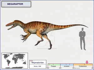 Megaraptor Dinosaur cast replica reproduction dinosaur fossil casts