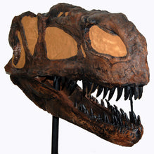 Cargar imagen en el visor de la galería, Monolophosaurus dinosaur skull cast replica #2