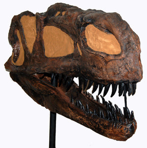 Monolophosaurus dinosaur skull cast replica #2