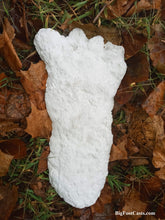 Laden Sie das Bild in den Galerie-Viewer, 2019 North Carolina Bigfoot Print Cast Replica Limited Edition Footprint for sale Bigfoot plaster cast
