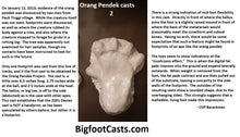 Laden Sie das Bild in den Galerie-Viewer, 2013 Orang Pendek footprint cast replica #2