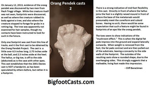 2013 Orang Pendek footprint cast replica #2
