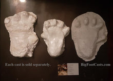 Laden Sie das Bild in den Galerie-Viewer, 2013 Orang Pendek footprint cast replica #3 (leaf)