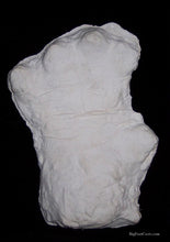 Laden Sie das Bild in den Galerie-Viewer, 2000 Orang Pendek footprint cast replica #1