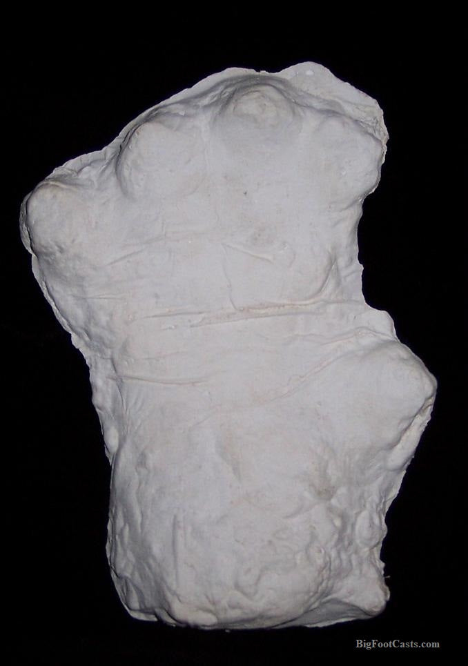 2000 Orang Pendek footprint cast replica #1