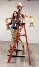 Laden Sie das Bild in den Galerie-Viewer, Cave Bear skeleton cast replica 10 ft tall!