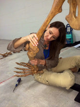 Laden Sie das Bild in den Galerie-Viewer, Cave Bear skeleton cast replica 10 ft tall!