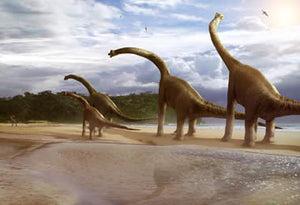 Brachiosaurus Dinosaur Poster