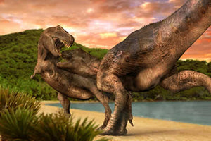 T.rex Dinosaur Poster T-rex Tyrannosaurus rex Poster