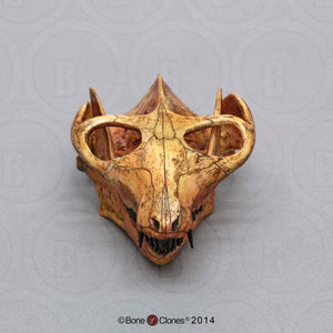Cynodont - Probainognathus jenseni Skull cast replica