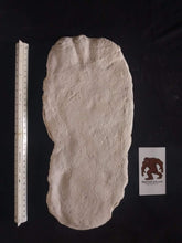 Load image into Gallery viewer, 1971 Fouke Monster Bigfoot cast