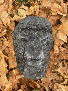 Gorilla Bust Death Cast Life cast #3  Carl Akeley Gorilla Death Mask