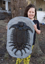 Cargar imagen en el visor de la galería, Terataspis grandis (Giant Trilobite) Cast Replica