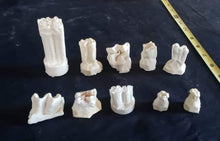 Load image into Gallery viewer, Horse teeth cast replicas (Teaching quality) Unpainted