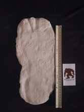 Load image into Gallery viewer, 1971 Fouke Monster Bigfoot cast
