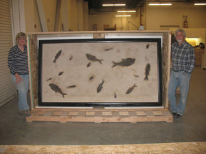 Fossil Fish Panel