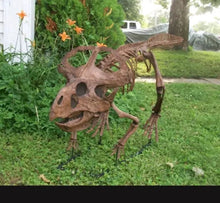 Laden Sie das Bild in den Galerie-Viewer, Protoceratops skeleton cast replica