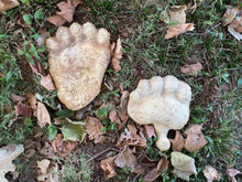 Load image into Gallery viewer, Black Bear rear footprint cast replica #5