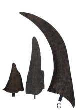 画像をギャラリービューアに読み込む, Woolly Rhino horns cast replicas