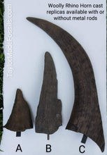 Laden Sie das Bild in den Galerie-Viewer, Woolly Rhino horns cast replicas