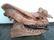 Load image into Gallery viewer, Brontotherium skull cast replica Brontops Titanothere Brontotheriidae