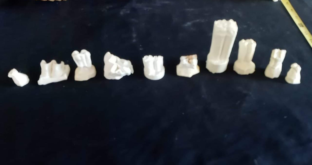 Horse teeth cast replicas (Teaching quality) Unpainted