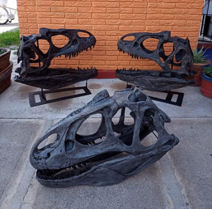 Discounted Allosaurus skull cast replica Dinosaur