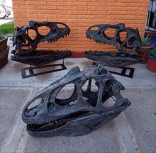 Laden Sie das Bild in den Galerie-Viewer, Allosaurus skull cast replica Dinosaur
