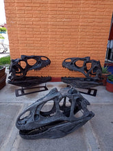 Laden Sie das Bild in den Galerie-Viewer, Allosaurus skull cast replica Dinosaur