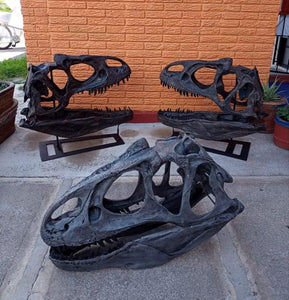 Optional metal stand for Allosaurus skull cast