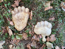 Laden Sie das Bild in den Galerie-Viewer, Bear: Footprint Black Bear rear footprint cast replica #5