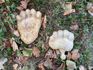 Black Bear rear footprint cast replica #5