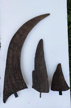 Laden Sie das Bild in den Galerie-Viewer, Woolly Rhino horns cast replicas