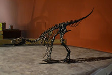Load image into Gallery viewer, Herrerasaurus skull cast replica dinosaur for sale or rent