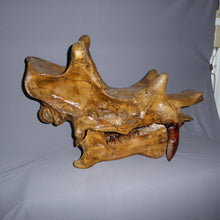 Load image into Gallery viewer, Uintatherium Skeleton Cast Replica