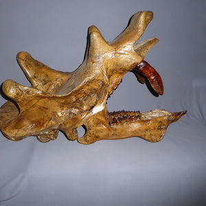 Uintatherium Skeleton Cast Replica