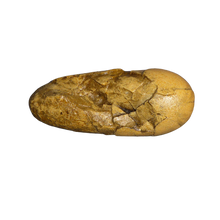 Laden Sie das Bild in den Galerie-Viewer, Oviraptor Egg Cast Replica Dinosaur Reproductions